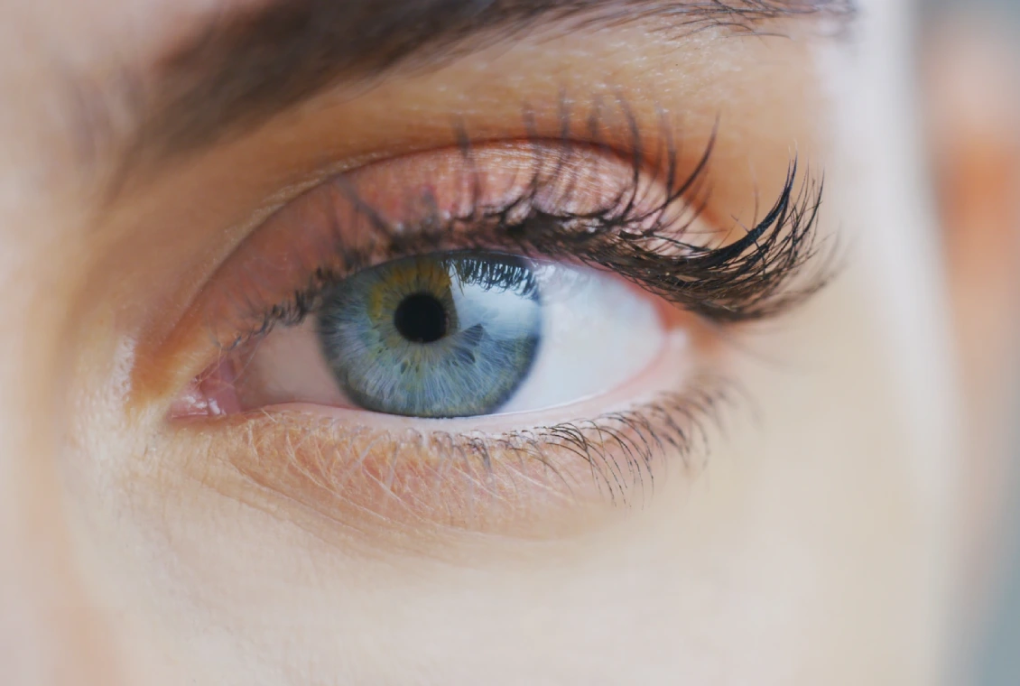 Close-up of a blue eye with eyelashes.